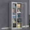 Full Glass Metallic Cabinet
