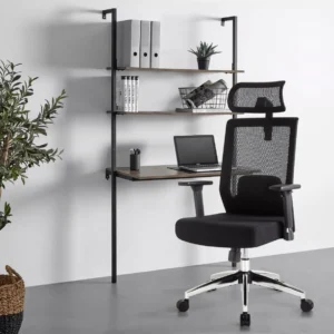 Ergonomic Office chair