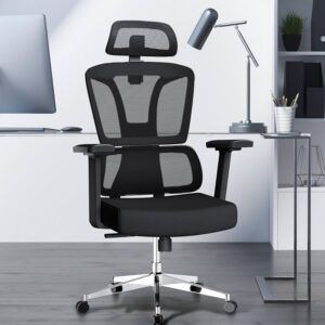 Ergonomic Seat