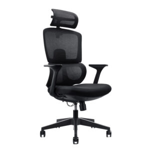 Ergonomic High Back Chair