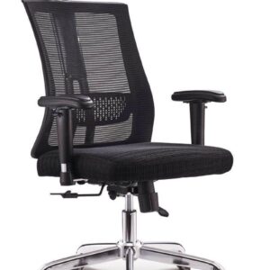 Ergonomic Chair