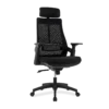 Lama Ergonomic Chair(L001)