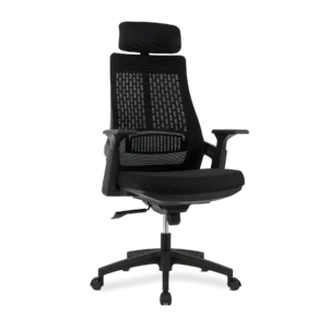 Lama Ergonomic Chair(L001)