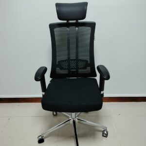 Ergonomic Chair