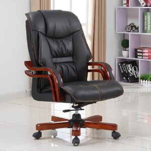 Director Executive Chair