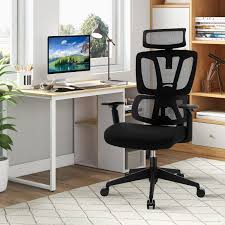 Ergonomic Chair