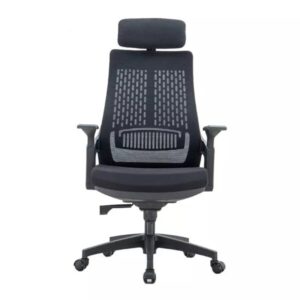 Lama Ergonomic Chair