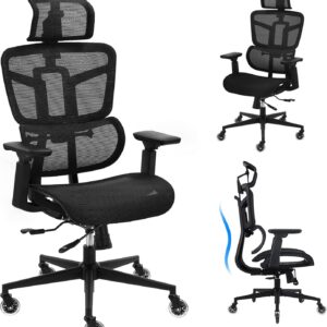 Ergonomic Chair