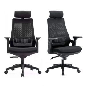 Lama Ergonomic Chair(L001)