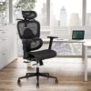 Ergonomic Office Chair