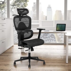 Ergonomic Office Chair