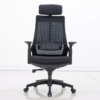 Ergonomic Chair