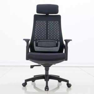 Ergonomic Chair