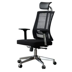 Ergonomic Office Chair