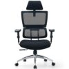 Ergonomic High Back Chair