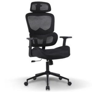 Ergonomic High Back Chair