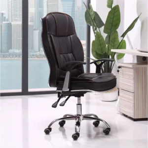 Ergonomic Chair