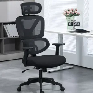 Ergonomic High Back Chair