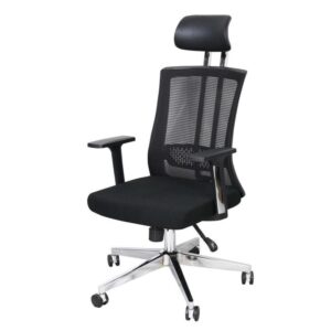 Ergonomic Chair