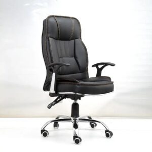 Ergonomic Chair