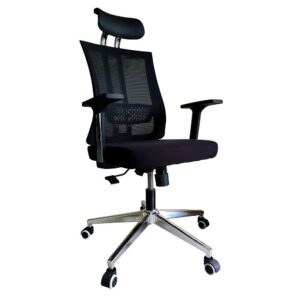 Ergonomic Chair