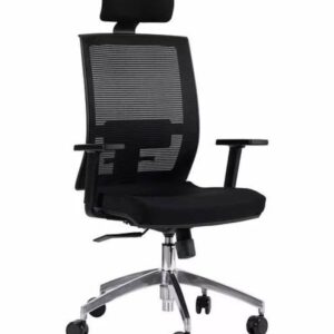 Ergonomic Chair