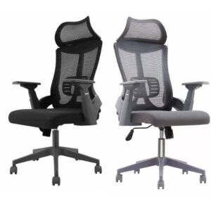 Lama Ergonomic Chair(L002)