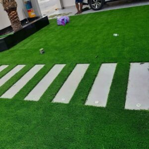 Artificial Green Carpet