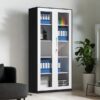 Full Glass Metallic Cabinet