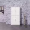 4-Door Metallic Cabinet