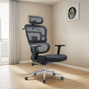 Ergonomic Recliner Office Chair