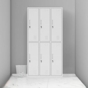 6-Locker Metallic Cabinet