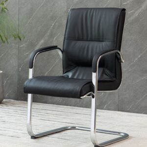 Executive Leather Visitor's Chair